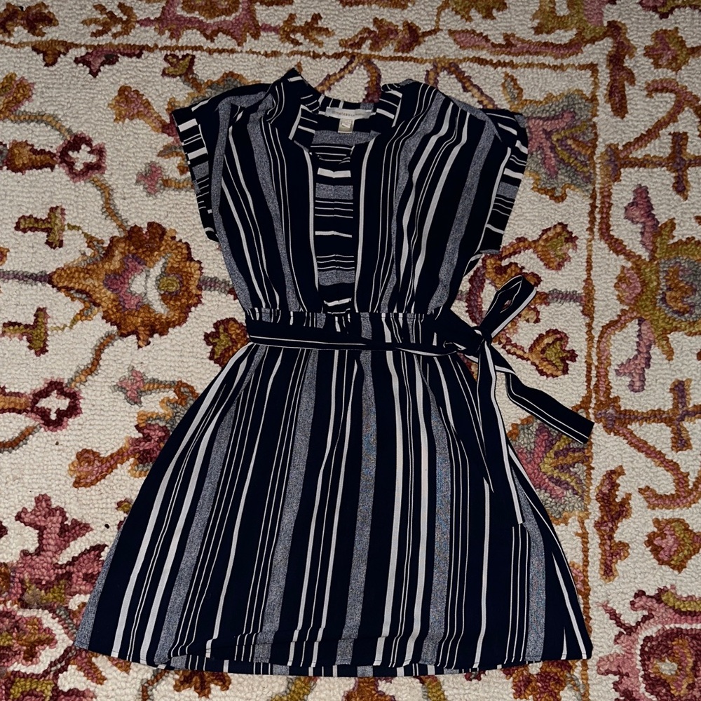 Chic Striped Blue and White Mini Dress